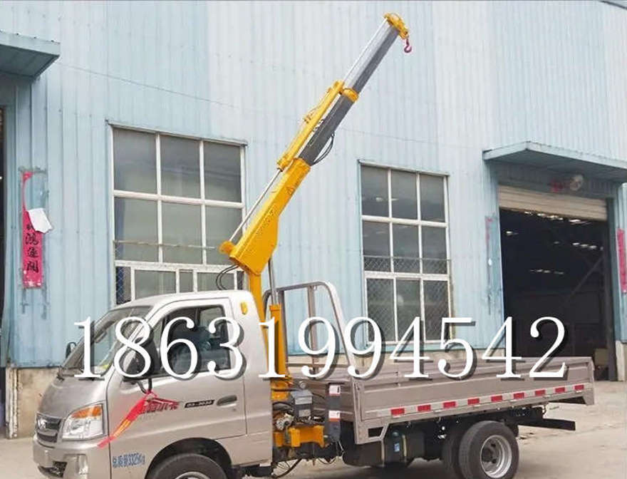 岳塘区车载吊机岳塘区当地提升机220v移动吊机船用小型车载吊机车载